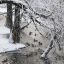 Снег и до -6°С ожидается в Беларуси 9 января
