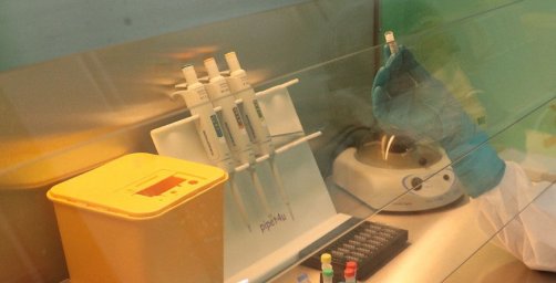 В Беларуси выздоровели и выписаны 73 265 пациентов с COVID-19