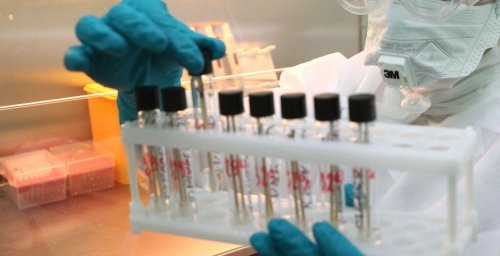 В Беларуси выздоровели и выписаны 73 386 пациентов с COVID-19