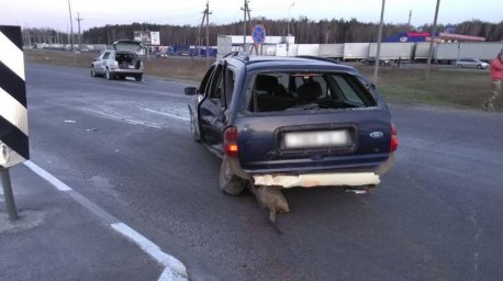 Двое детей пострадали при столкновении легковушек в Бресте