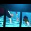 Basshunter feat. Crazy Frog - Everyone