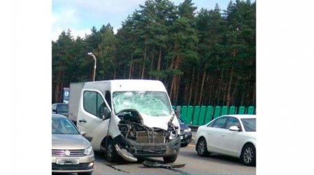 На МКАД лось попал под колеса микроавтобуса