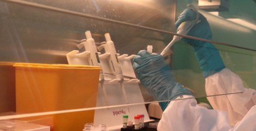 К механизму по вакцинам COVAX уже присоединились 67 стран