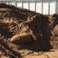 В Барановичском районе из ковша экскаватора выпала авиабомба