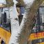 Школьный автобус попал в ДТП в Брестском районе