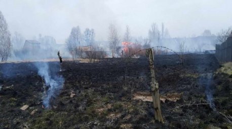 В Мозырском районе при пале травы сгорели пять дач