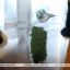 Канал поставки амфетамина перекрыли в Гомельской области 1