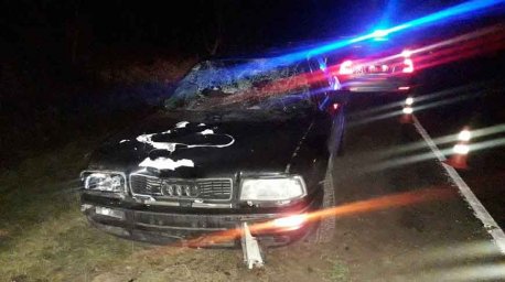 Легковушка сбила пешехода в Полоцком районе