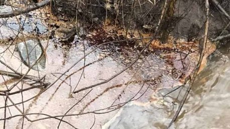 На Западной Двине обнаружили масляные пятна