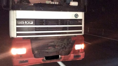 Фура сбила насмерть пешехода на трассе М1 под Оршей