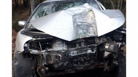 В Лиозненском районе легковушка вылетела в кювет из-за косули