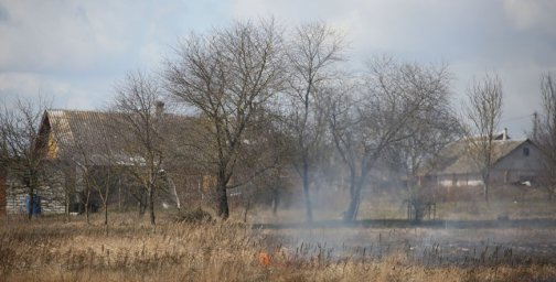 В гродненской области за сутки ликвидировано 6 загораний сухой растительности
