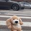 Более 320 ДТП с участием детей произошло в Беларуси с начала года