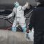 Коронавирус в Китае: чем опасен для белорусов и какие симптомы