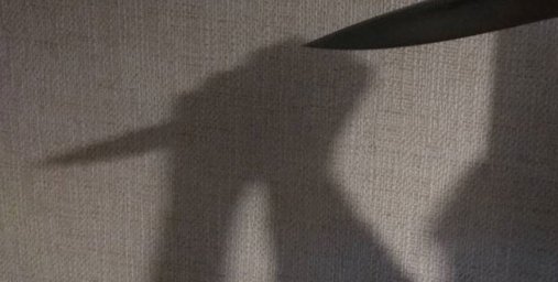 Брестчанин подозревается в убийстве бабушки и покушении на дядю