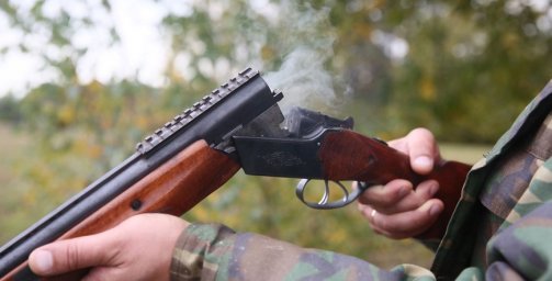 Житель Ивацевичского района подозревается в незаконной охоте на косулю
