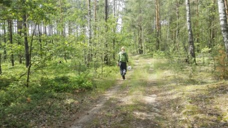 Найдена девушка, которая девять дней блуждала по лесу