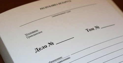 Двое жителей Пружанского района попали под статью за разделку и транспортировку туши лося