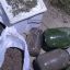 Подозреваемый в сбыте марихуаны задержан в Могилеве