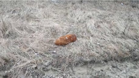 Снаряды времен войны обнаружили в Бобруйском районе